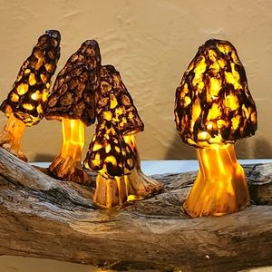 SOLD-Beautiful Morel mushroom lamp/ nightlight